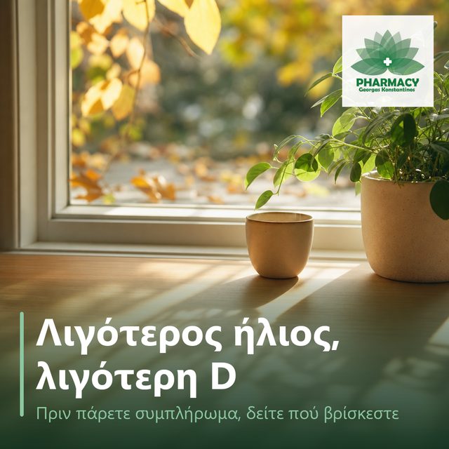 Χαμηλό φθινοπωρινό φως μπαίνει από παράθυρο σε ξύλινο τραπέζι με φυτό και κεραμικό φλιτζάνι.
